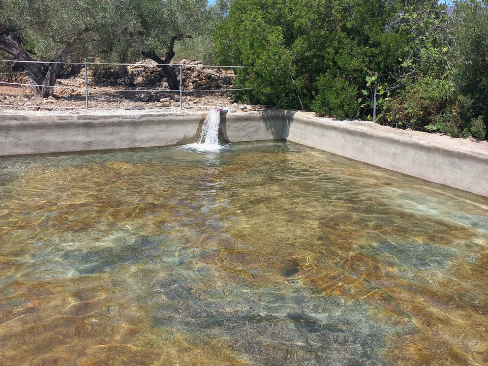 Landejendom i El Perello, Tarragona - foto 4
